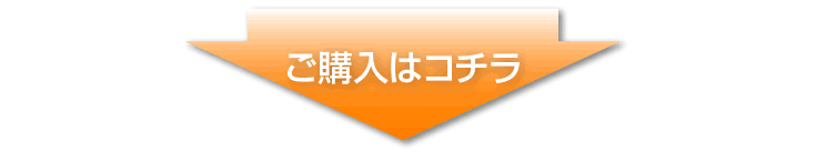 白色申告