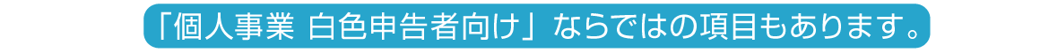 「個人事業 白色申告者向け」ならではの項目もあります。