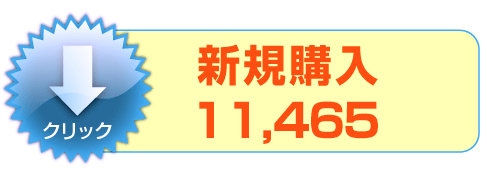 白色申告ソフト CD版 新規購入